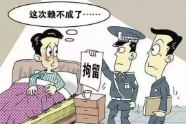 马鞍山融资清欠服务